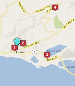 Map of Homer, AK hotels